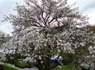 P1000082.JPG